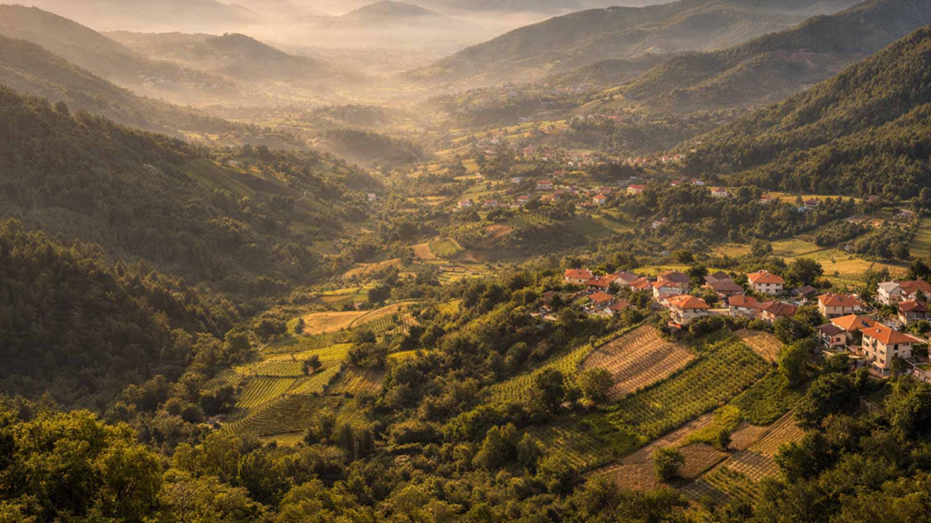 Yayladağı Tarımı