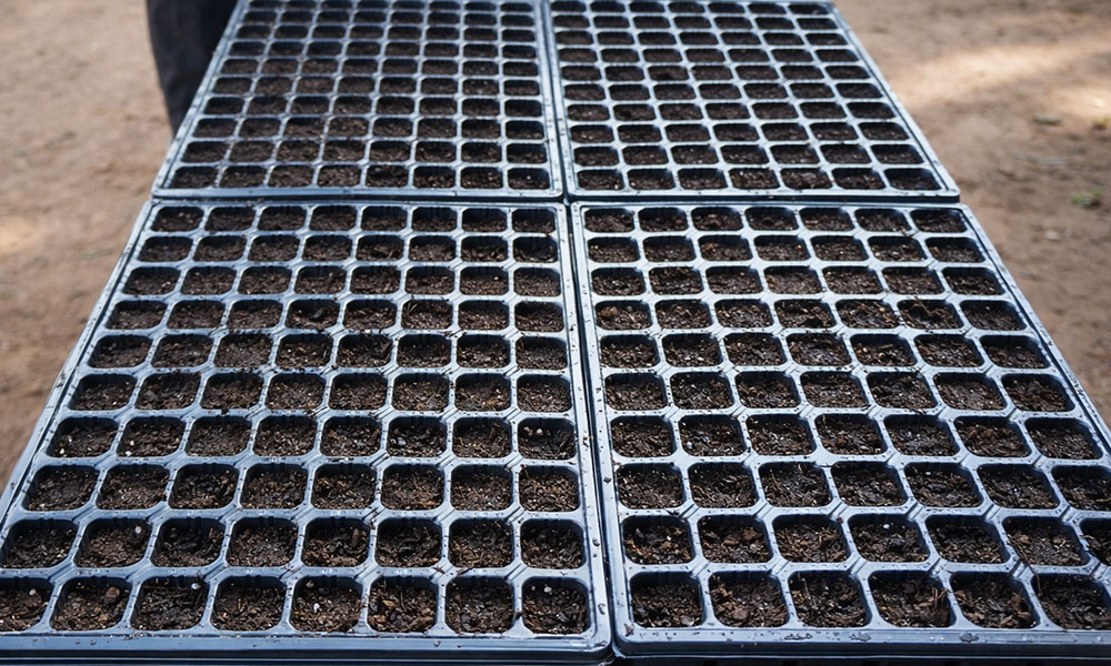 Teralis üretim sahası 6